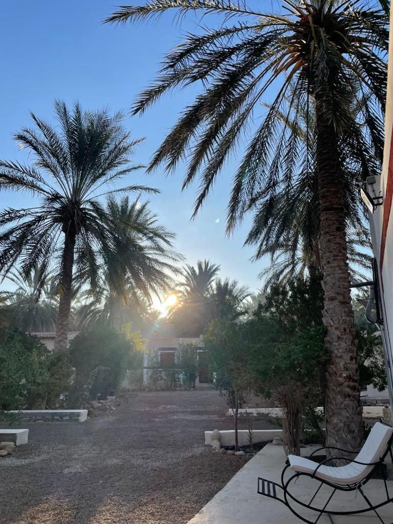 Dar Barka Hotel Kebili Eksteriør billede